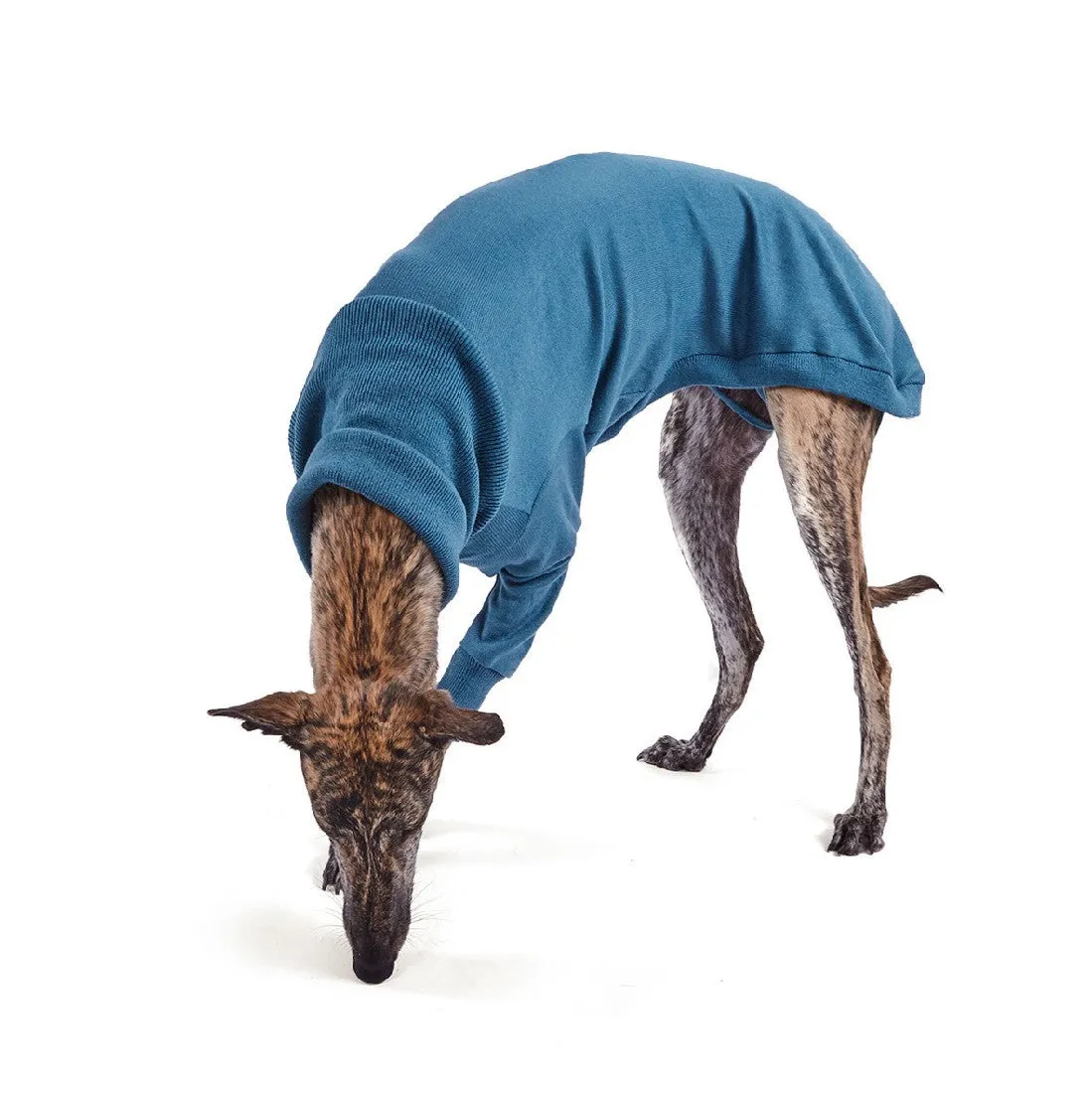 Kazoo Greyhound Softie Dog Jumper Blue 70-75cm Large