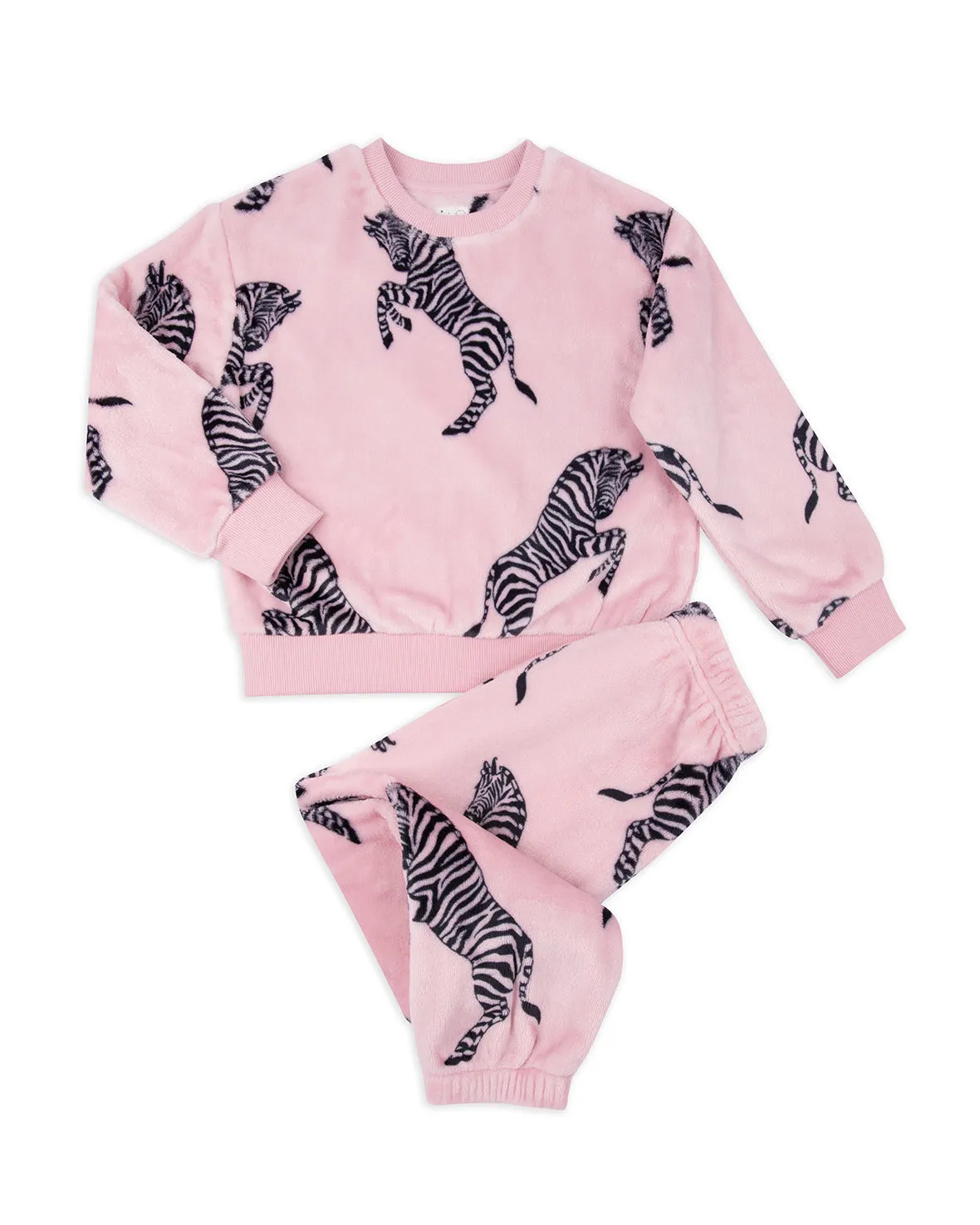 Kids Fleece Jumping Zebra Print Sweatshirt & Joggers Co-ord